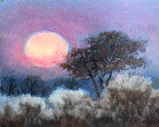 THE CAPE GALLERY